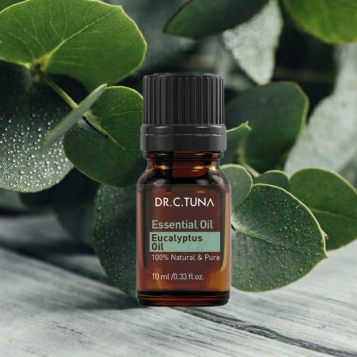Eucalyptus Essential Oil